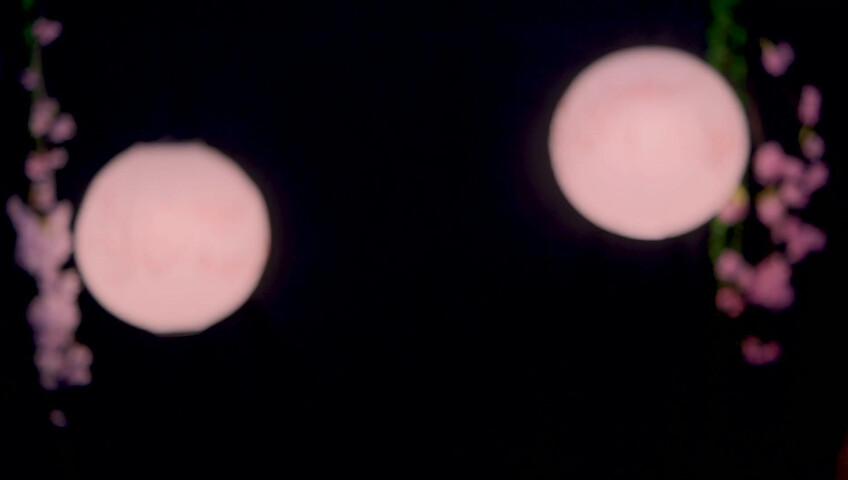 Maimy - Innocent Fox Girl Roleplay