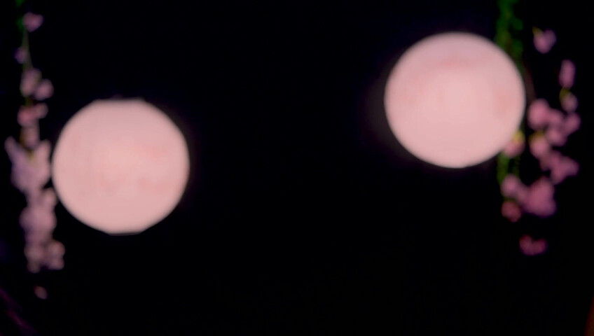 Maimy - Innocent Fox Girl Roleplay