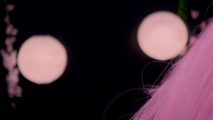 Maimy - Innocent Fox Girl Roleplay