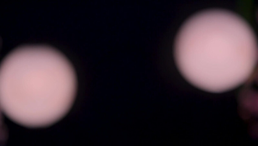 Maimy - Innocent Fox Girl Roleplay