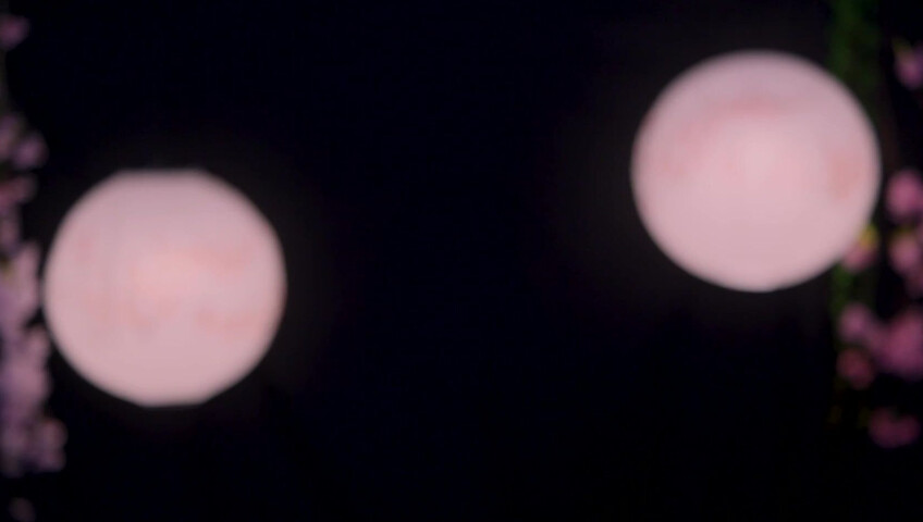 Maimy - Innocent Fox Girl Roleplay