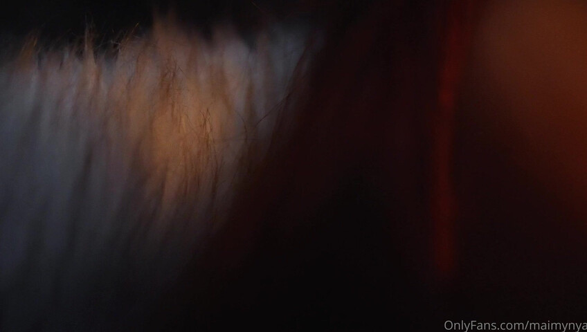 Maimy ASMR - Camping Cozy Night