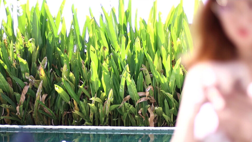 Maimy ASMR - Pool Live Stream