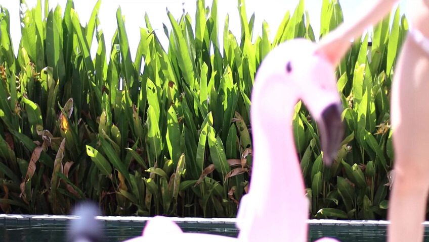 Maimy ASMR - Pool Live Stream