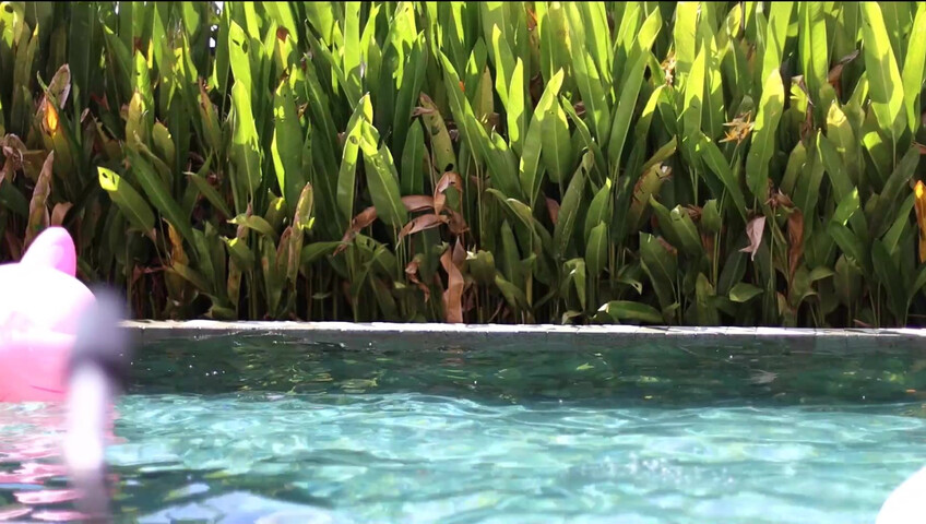 Maimy ASMR - Pool Live Stream