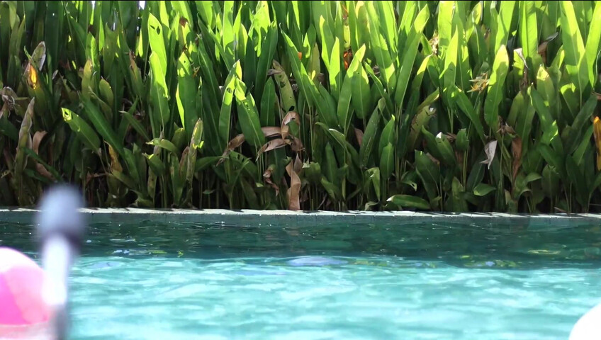 Maimy ASMR - Pool Live Stream