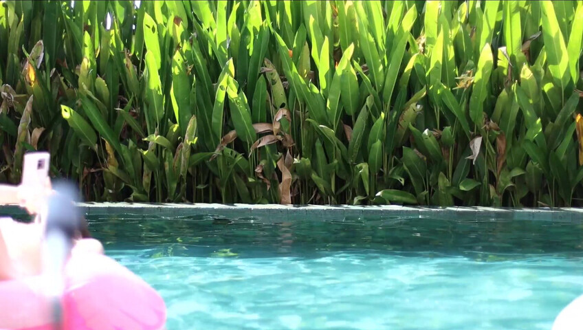 Maimy ASMR - Pool Live Stream