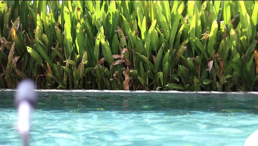 Maimy ASMR - Pool Live Stream