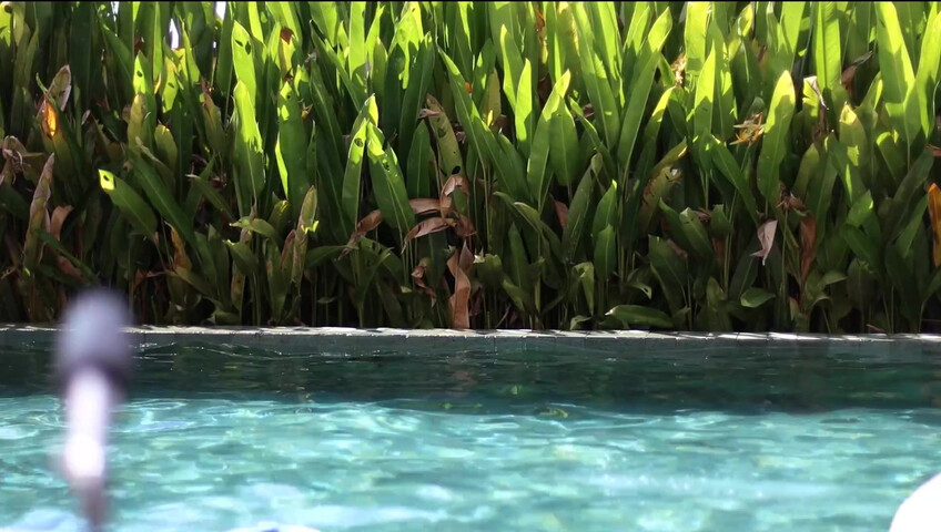 Maimy ASMR - Pool Live Stream