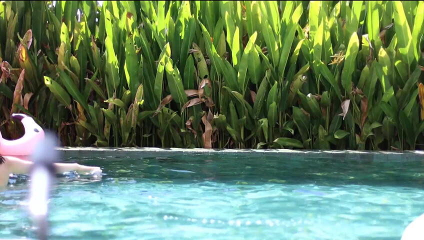 Maimy ASMR - Pool Live Stream