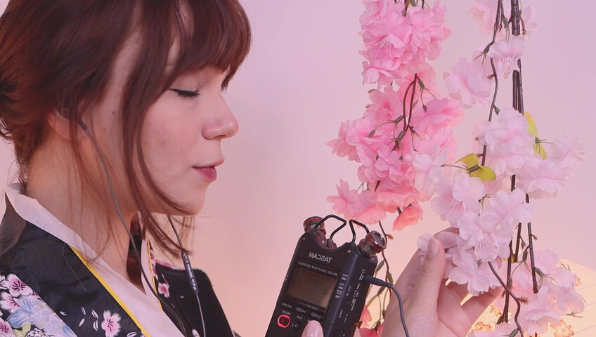 Maimy ASMR Patreon - Intense Triggers Tascam