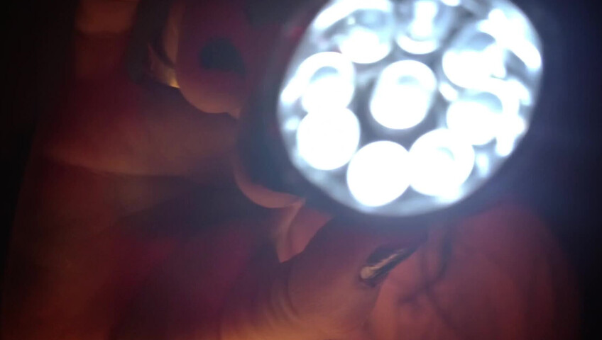 Mindarina ASMR - Patreon July Theraphy