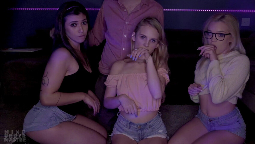 Mind Under Master - Foster Kittens