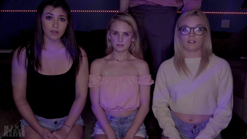 Mind Under Master - Foster Kittens