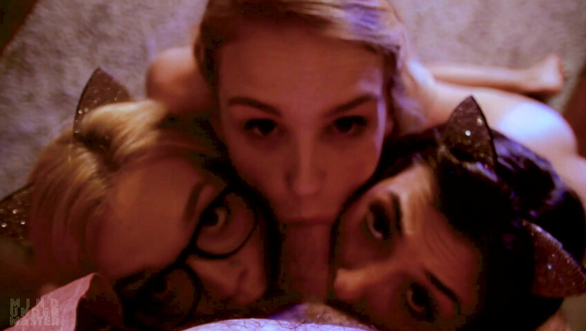 Mind Under Master - Foster Kittens