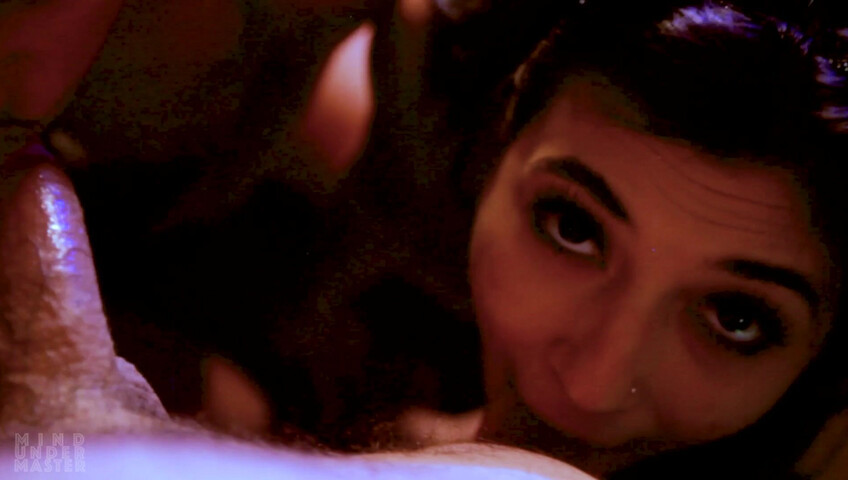 Mind Under Master - Foster Kittens