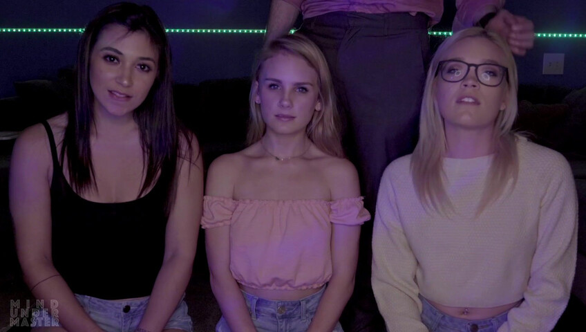 Mind Under Master - Foster Kittens