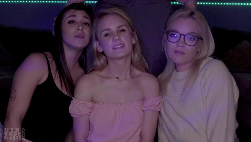 Mind Under Master - Foster Kittens