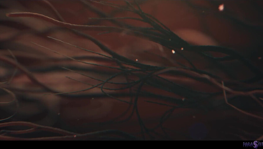 Octokuro & Matty Mila - THE ONE THAT EXCITES