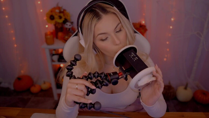 Puffin ASMR - Ear Eating