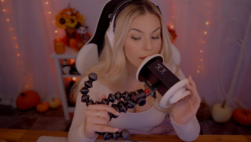 Puffin ASMR - Ear Eating