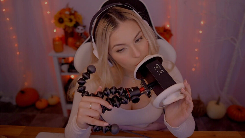 Puffin ASMR - Ear Eating