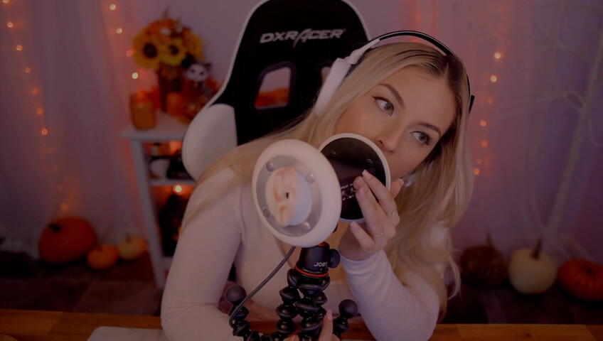 Puffin ASMR - Ear Eating