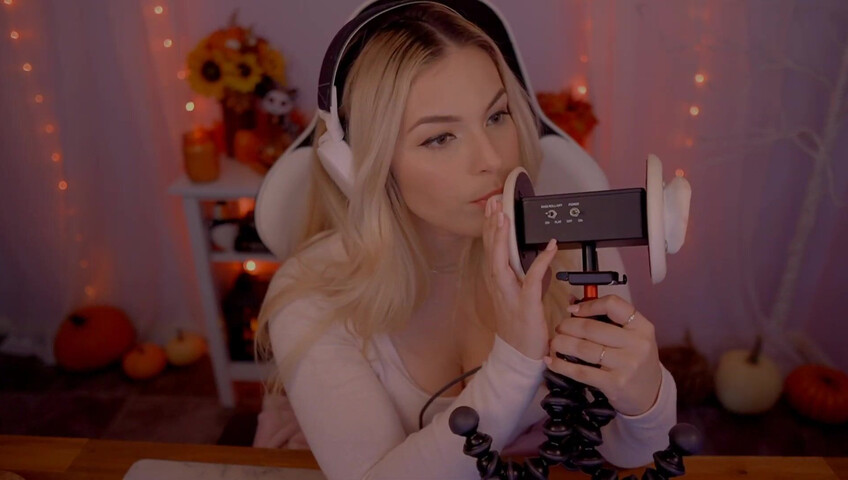 Puffin ASMR - Ear Eating