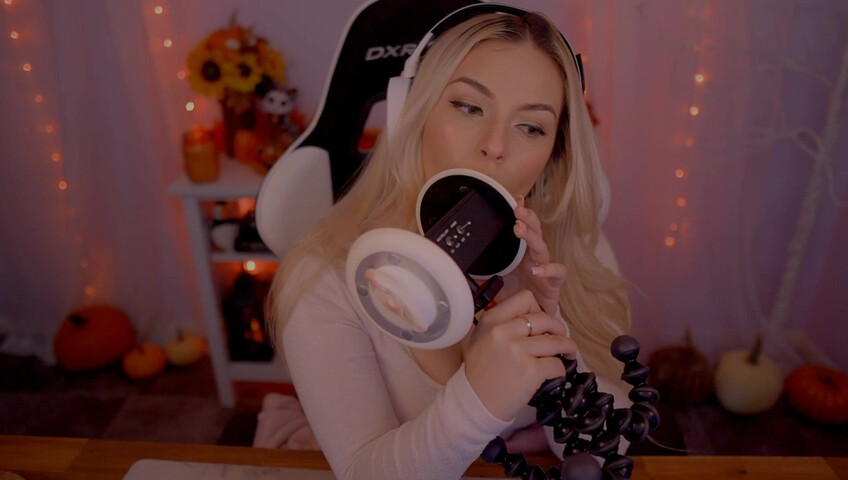 Puffin ASMR - Ear Eating