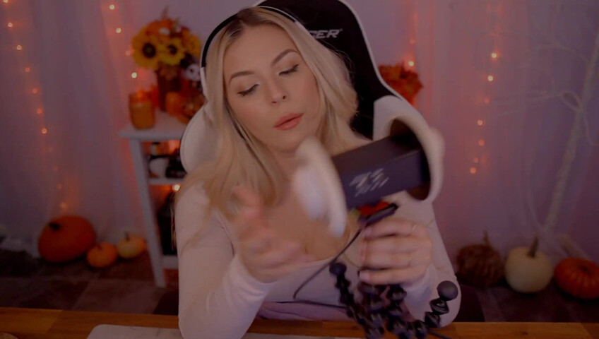 Puffin ASMR - Ear Eating