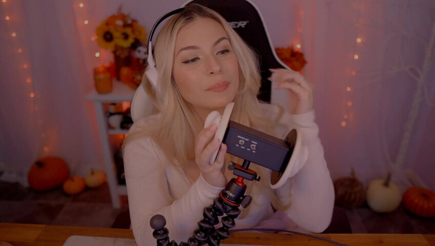 Puffin ASMR - Ear Eating