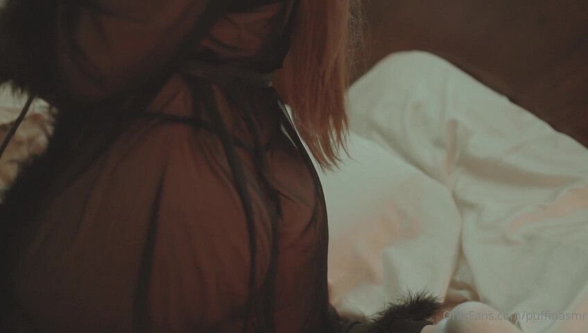 Puffin ASMR - New Camera Setup