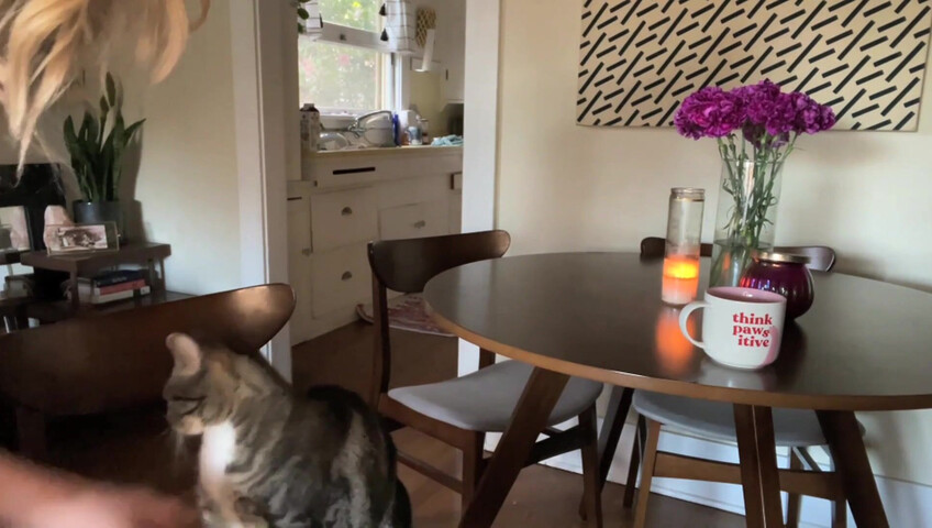 Rhonda ASMR - Purrfect Valentines