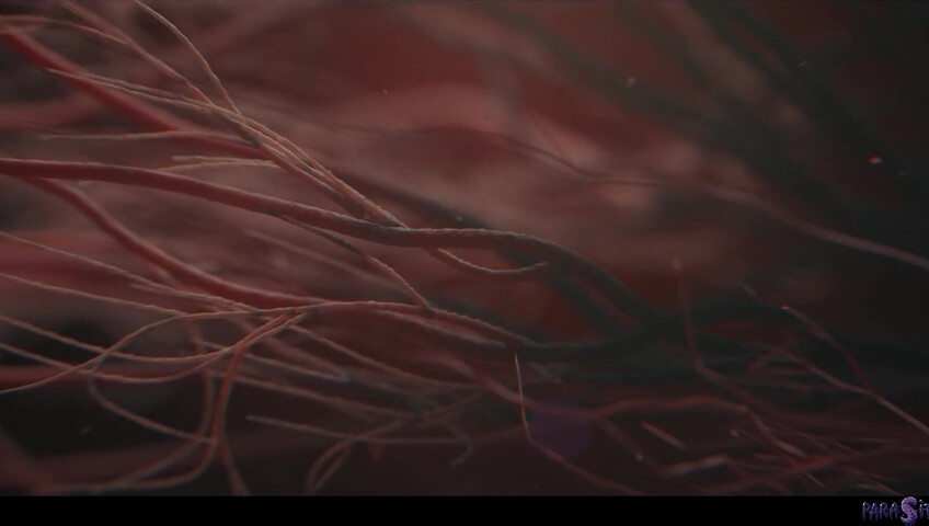 Amirah Adara, Clemence Audiard, & Octokuro - The Parasite Devil