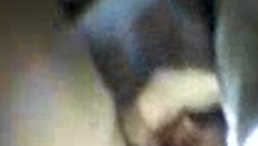 Firs time my wife with my black friend