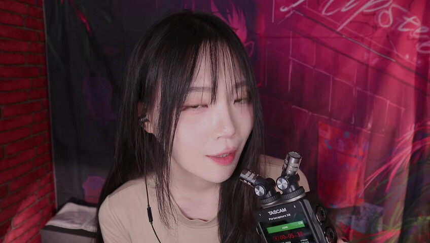 ASMR Nara - 16 Jan 2026 - Introducing the TASCAM Portacapture X8 ⧸ New Microphone Test