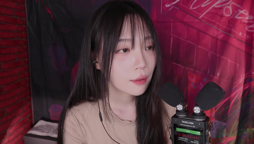 ASMR Nara - 16 Jan 2026 - Introducing the TASCAM Portacapture X8 ⧸ New Microphone Test