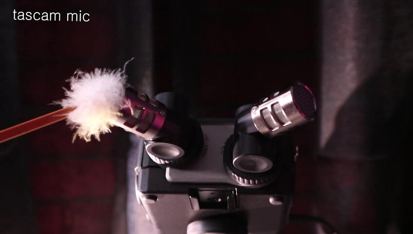 ASMR Nara - 16 Jan 2026 - Introducing the TASCAM Portacapture X8 ⧸ New Microphone Test