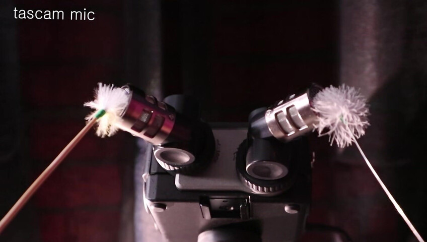 ASMR Nara - 16 Jan 2026 - Introducing the TASCAM Portacapture X8 ⧸ New Microphone Test