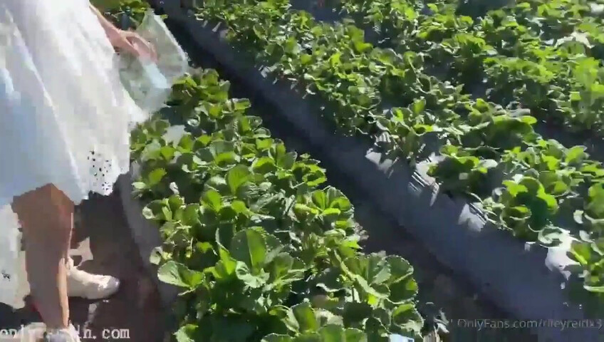 Riley Reid & Lana Rhoades - Showing Tits & Fingering