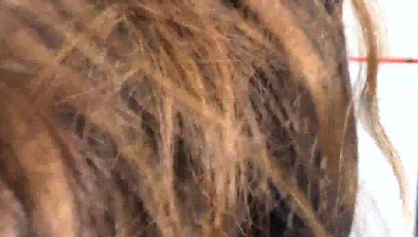 Miss Bell ASMR - 19 January 2026 - Catch Miss Bell Getting Ready - Night School