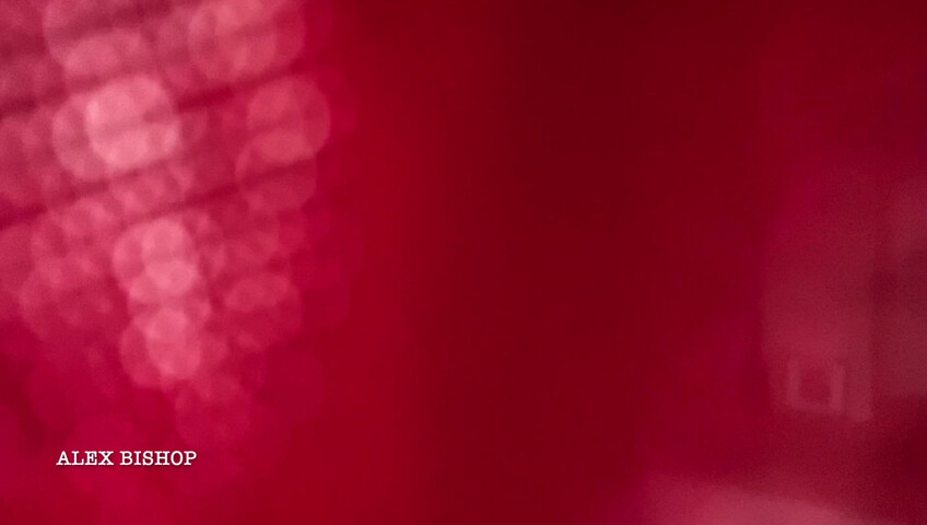 Alex Bishop – Hot Step-Mom Try On Haul and Sex