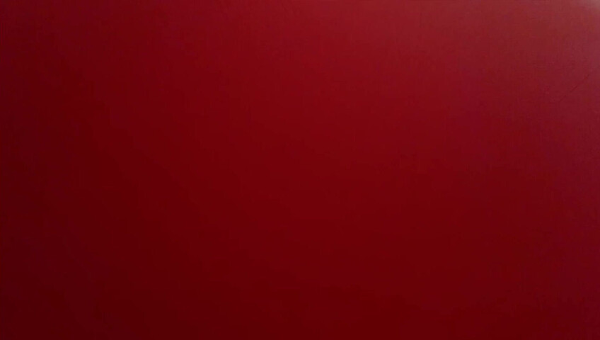 Tinglebay ASMR - Only Available to Platinum Members | $200 PPV