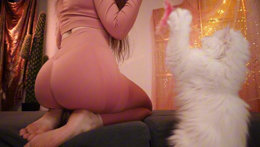 KittyKlaw ASMR - 27 Feb 2026 - ASMR with My Cat