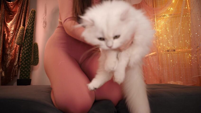 KittyKlaw ASMR - 27 Feb 2026 - ASMR with My Cat