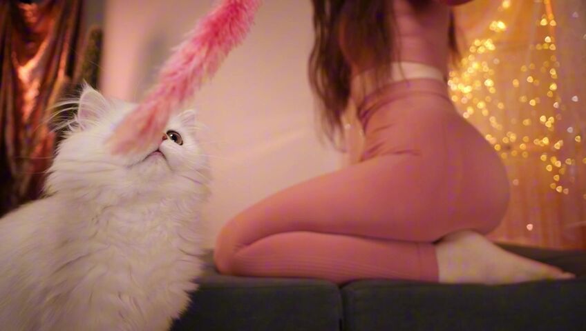 KittyKlaw ASMR - 27 Feb 2026 - ASMR with My Cat