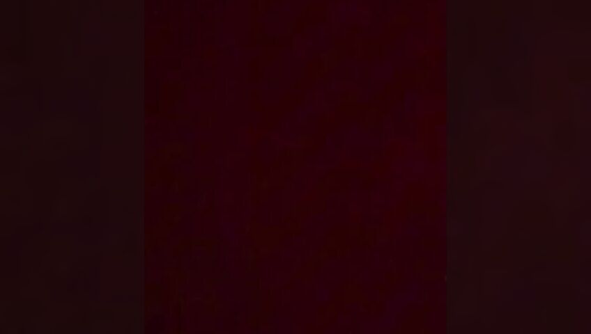 Wahonay ASMR - Lens Licking In Red Bra