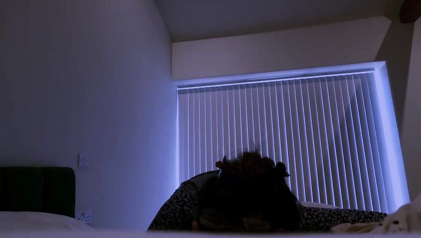 Sydney Harwin – TABOO EVER AFTER- THE MOVIE