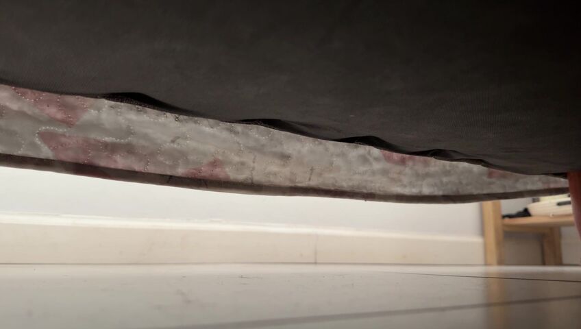 Nicole Belle - Your Crazy Ex-Girlfriend Shrinks You