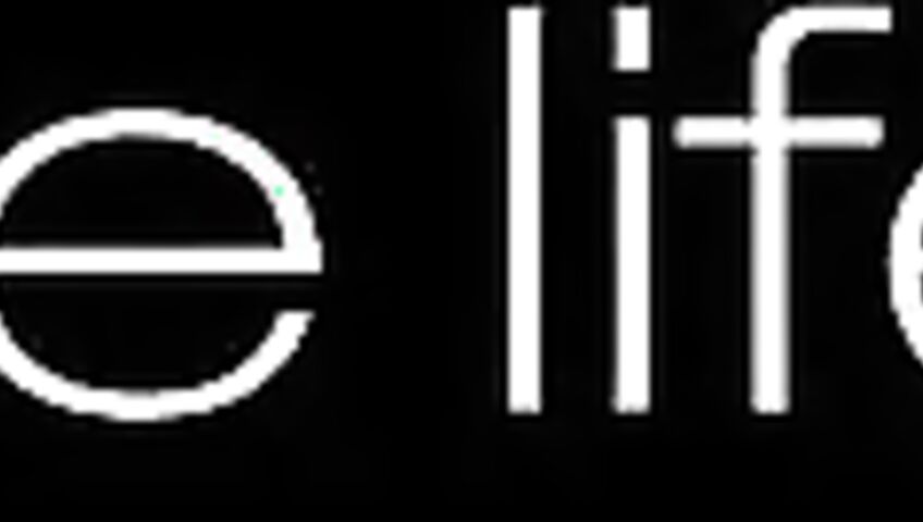 Toree - A Day In The Life